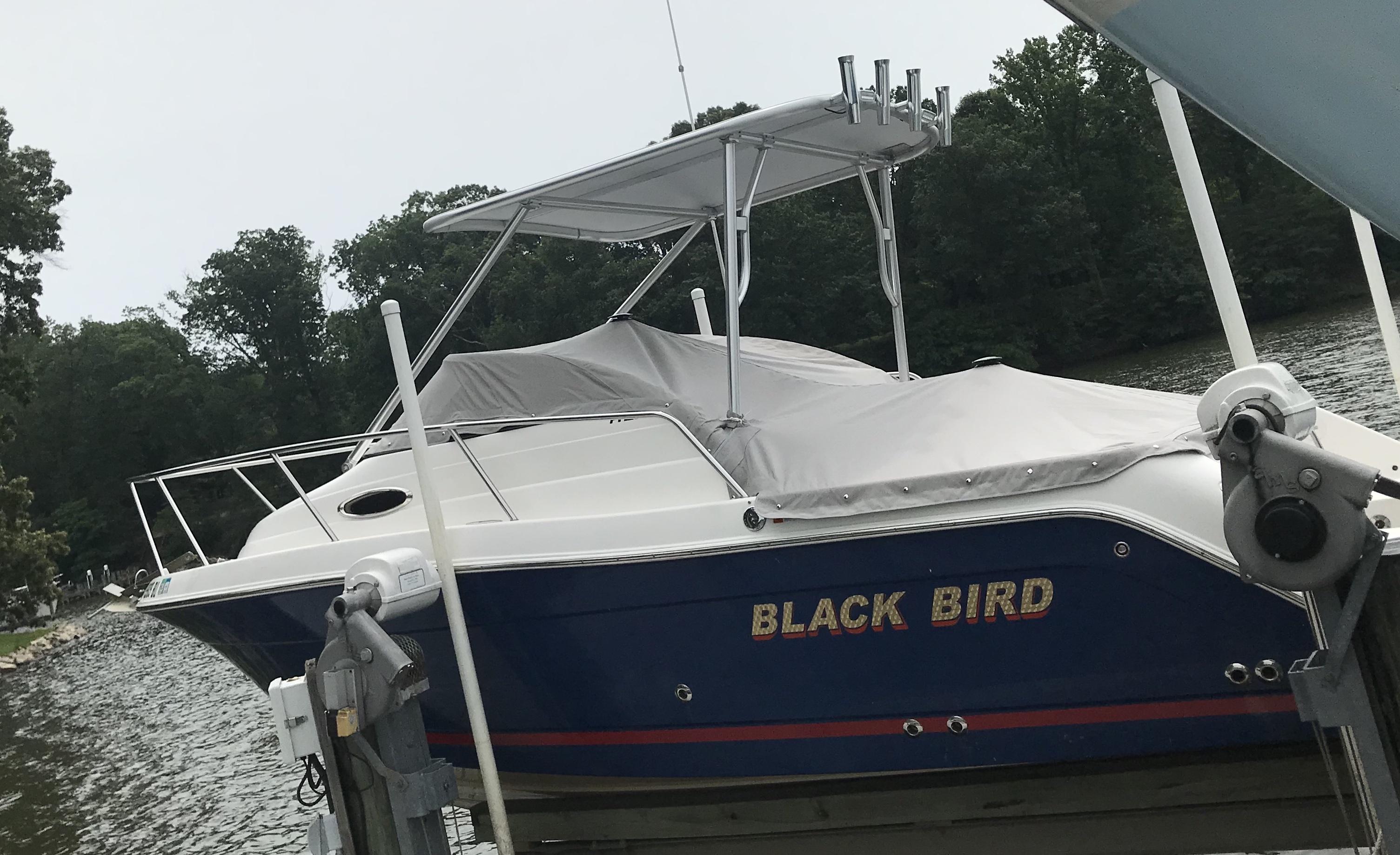Robalo boat named Black Bird with Atlantic Towers Top installed, covered with a gray tarp, docked by wooded shore.