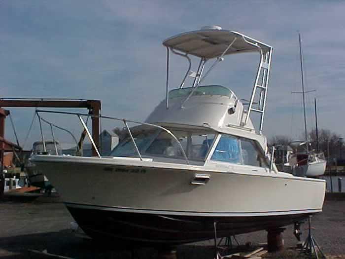 Bertram Top image 1
