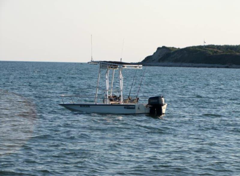Wahoo 17 T-Top image 1