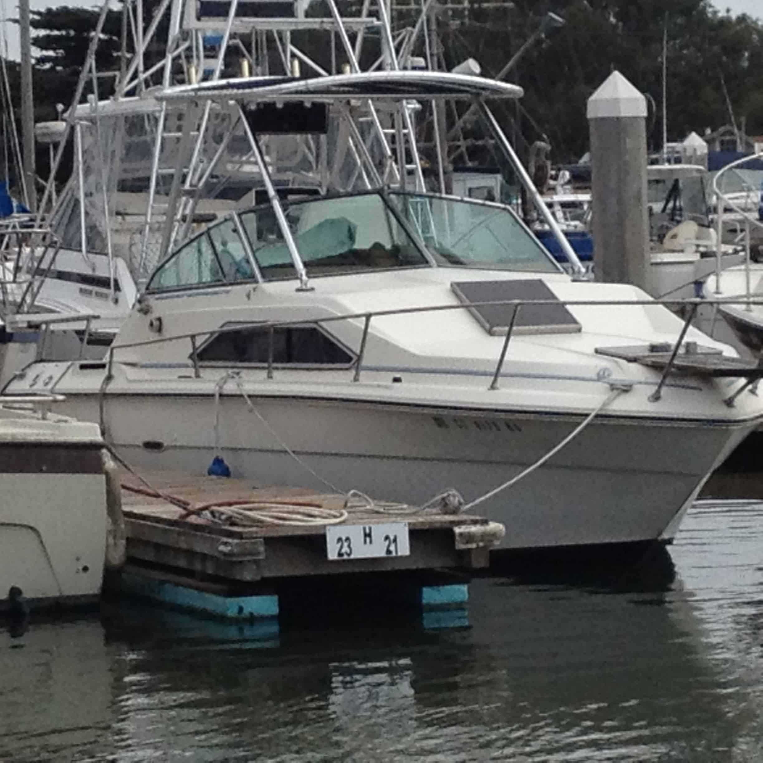 Sea Ray boat docked at marina with installed Atlantic Towers Top aluminum frame tower over the cockpit area.