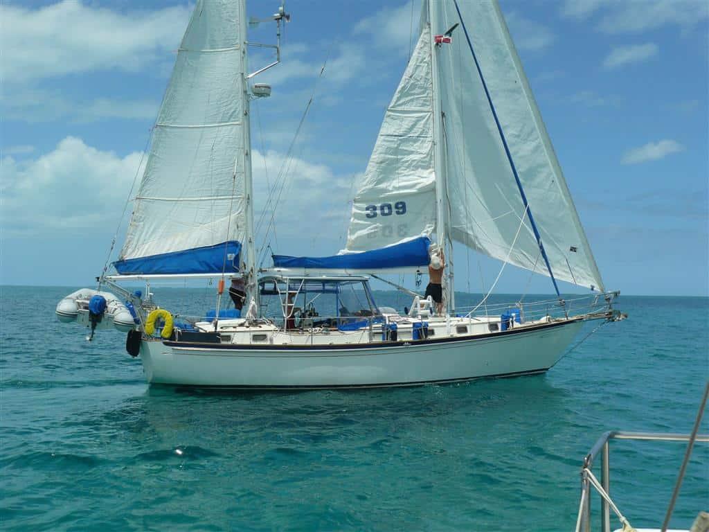 Top image 1