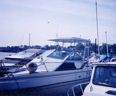 Uncategorized image 1