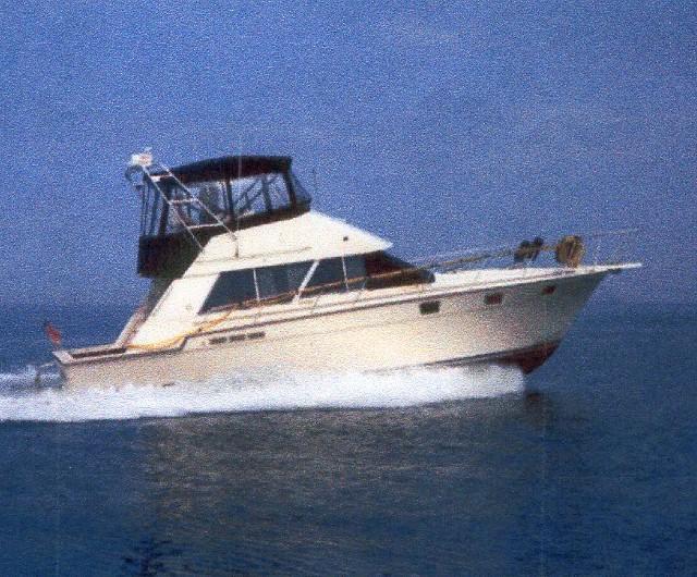 Silverton 40 Convertible Arch 1985 image 1