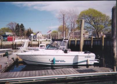 Atlantic Towers Arch installed on a Seaswirl 2150 Striper walkaround boat, mounted above the console and seating area.