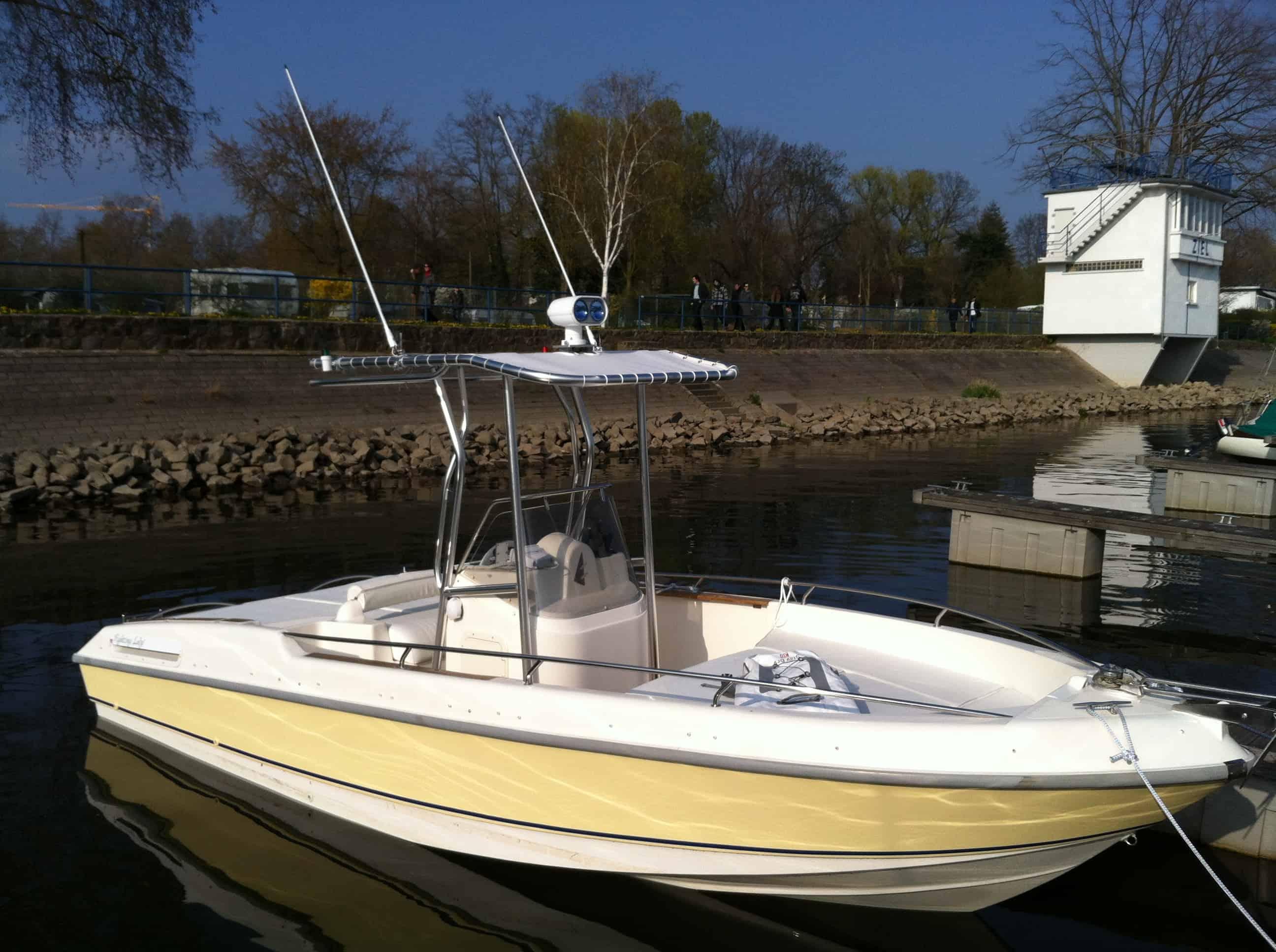 Aria T-Top 2011 image 1
