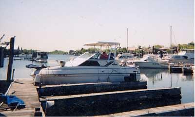 Uncategorized image 1