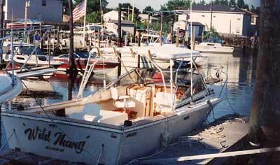 Blackfin 27 Combi Top 1985 image 1