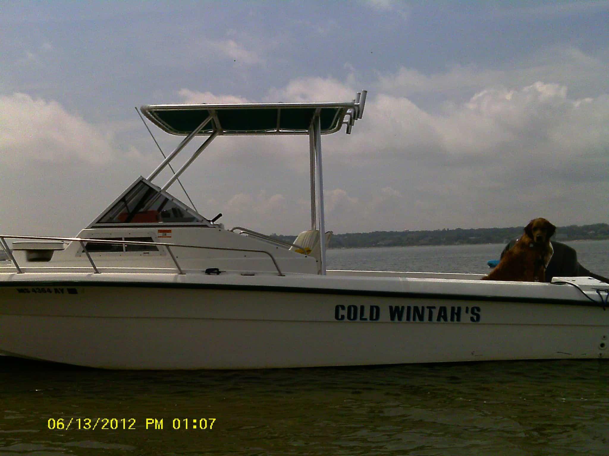 Angler Boats 220 Top 1989 image 1