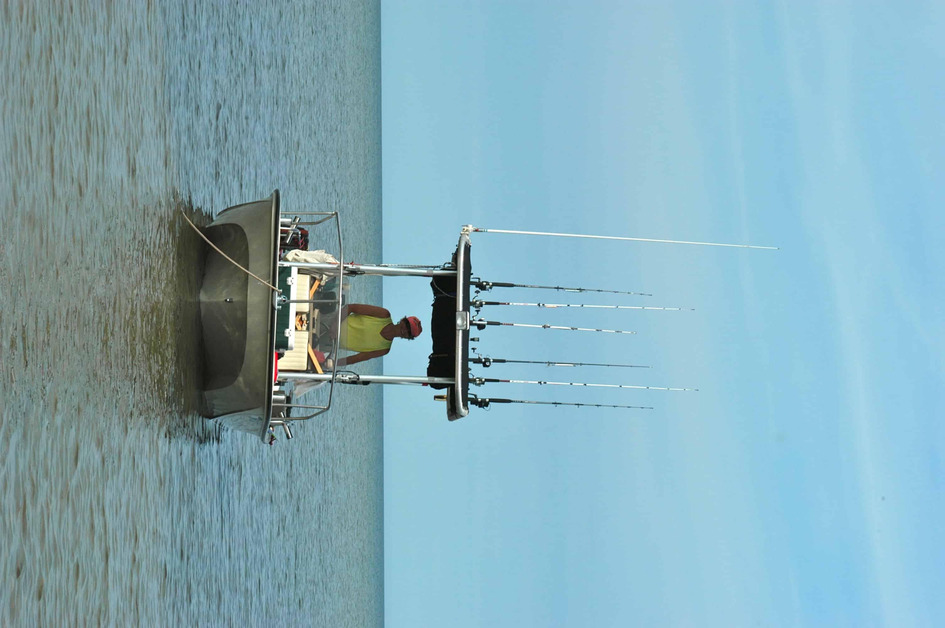 Boston Whaler 17 T-Top image 1