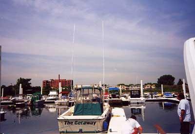 Uncategorized image 1