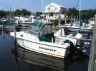 Atlantic Towers arch installed on a Trophy 2302 walkaround boat, showcasing a sturdy and functional design.