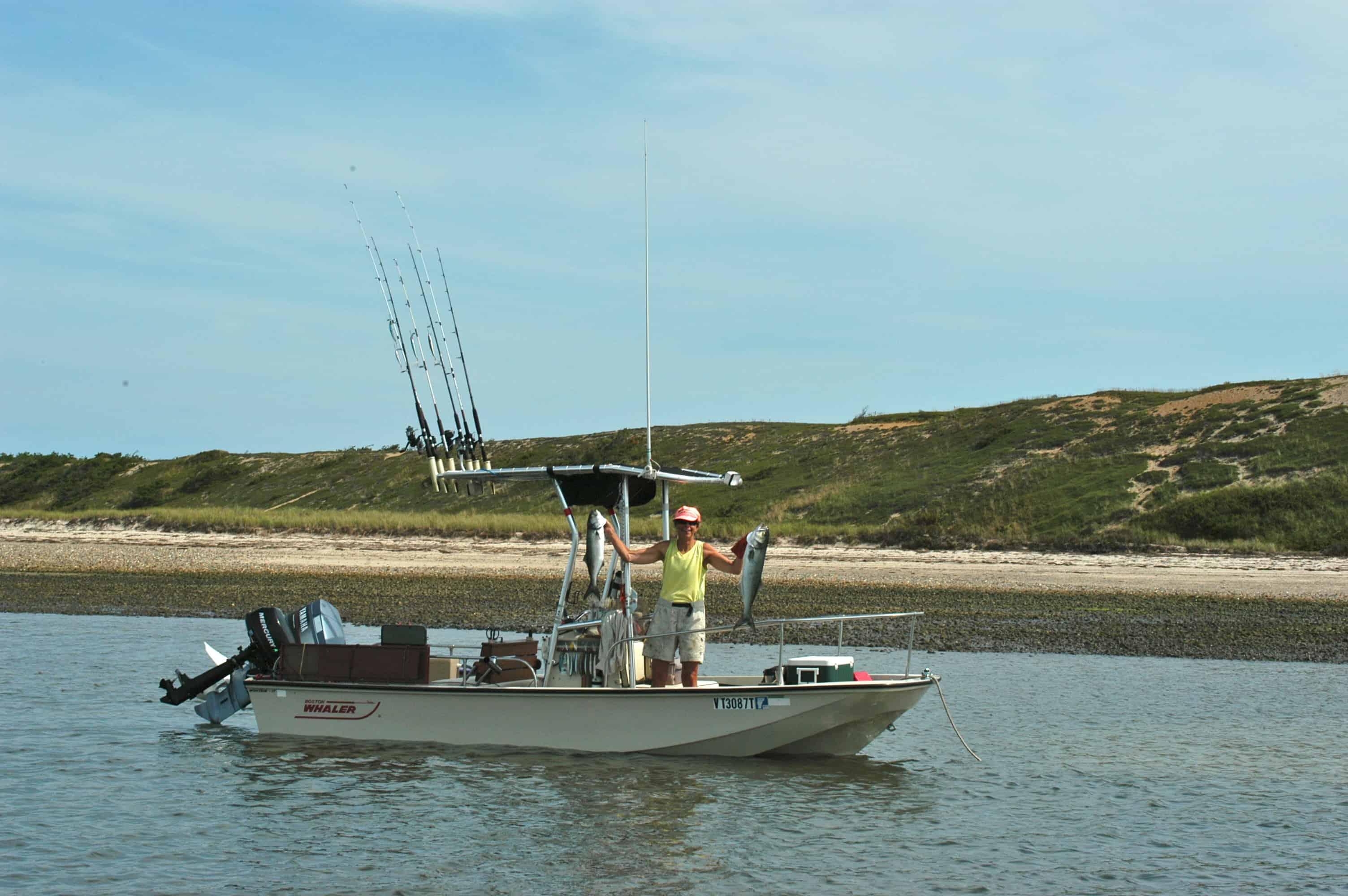 Atlantic Towers T-Top installed on a Boston Whaler 17 center console boat, showcasing its functionality and design.