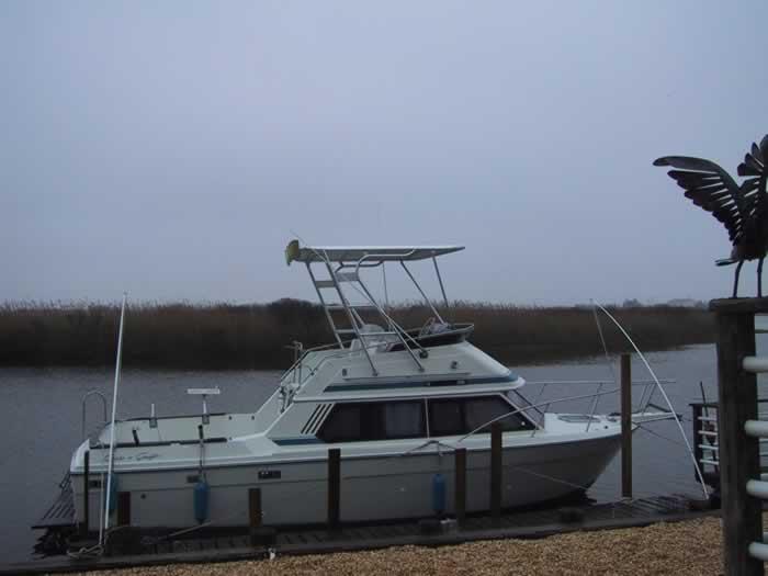 Uncategorized image 1