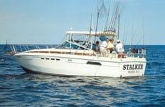 Chris Craft 332 Express Top 1981 image 1