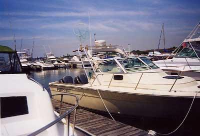 Atlantic Towers Arch installed on a Pursuit 2550 Cuddy Cabin/WA boat docked in a marina with other boats nearby.
