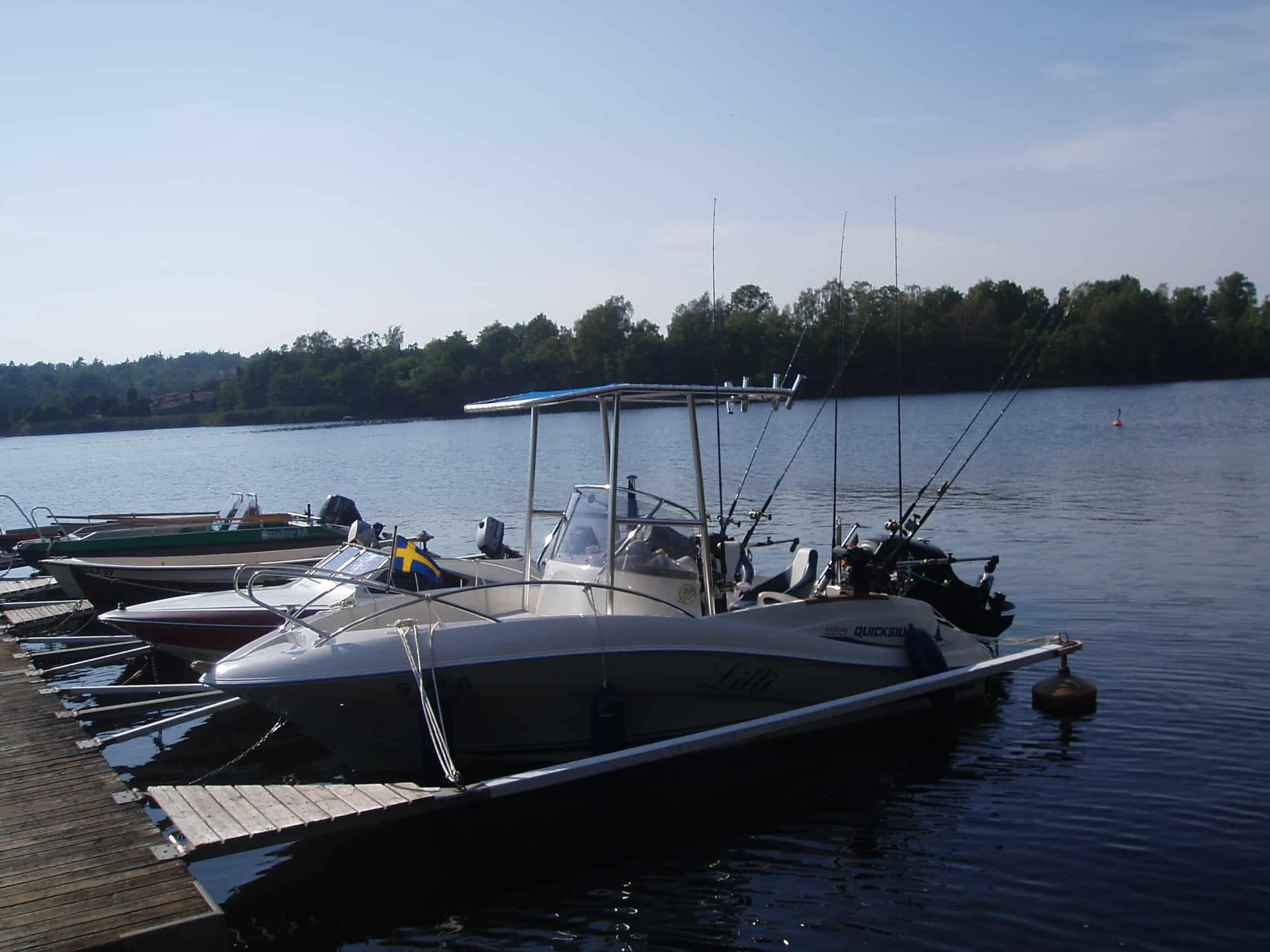 Quicksilver Commander T-Top 2008 image 1