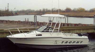 Bayliner 2002/ 2052 Walkaround Top 1991 image 1