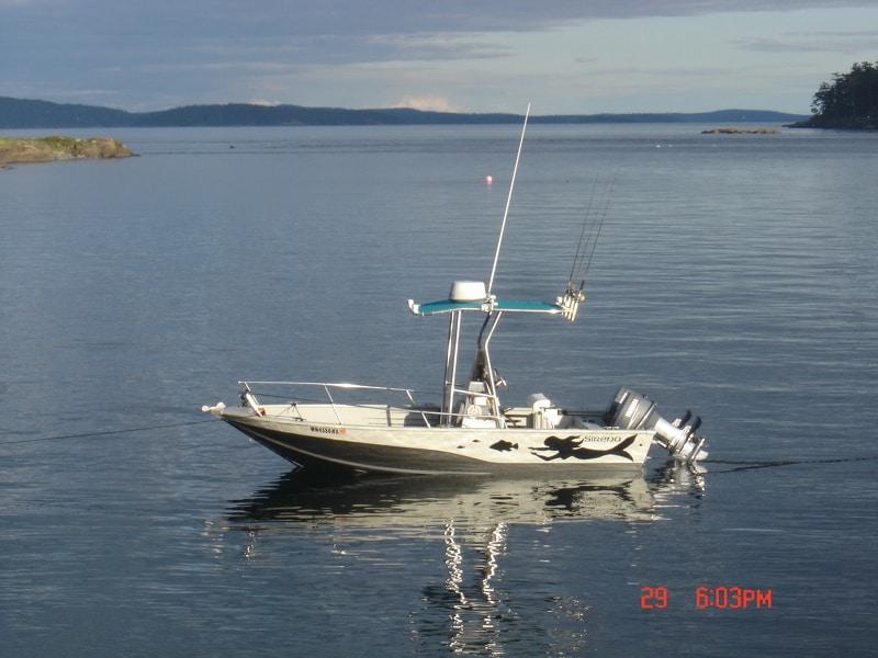 T-Top image 1