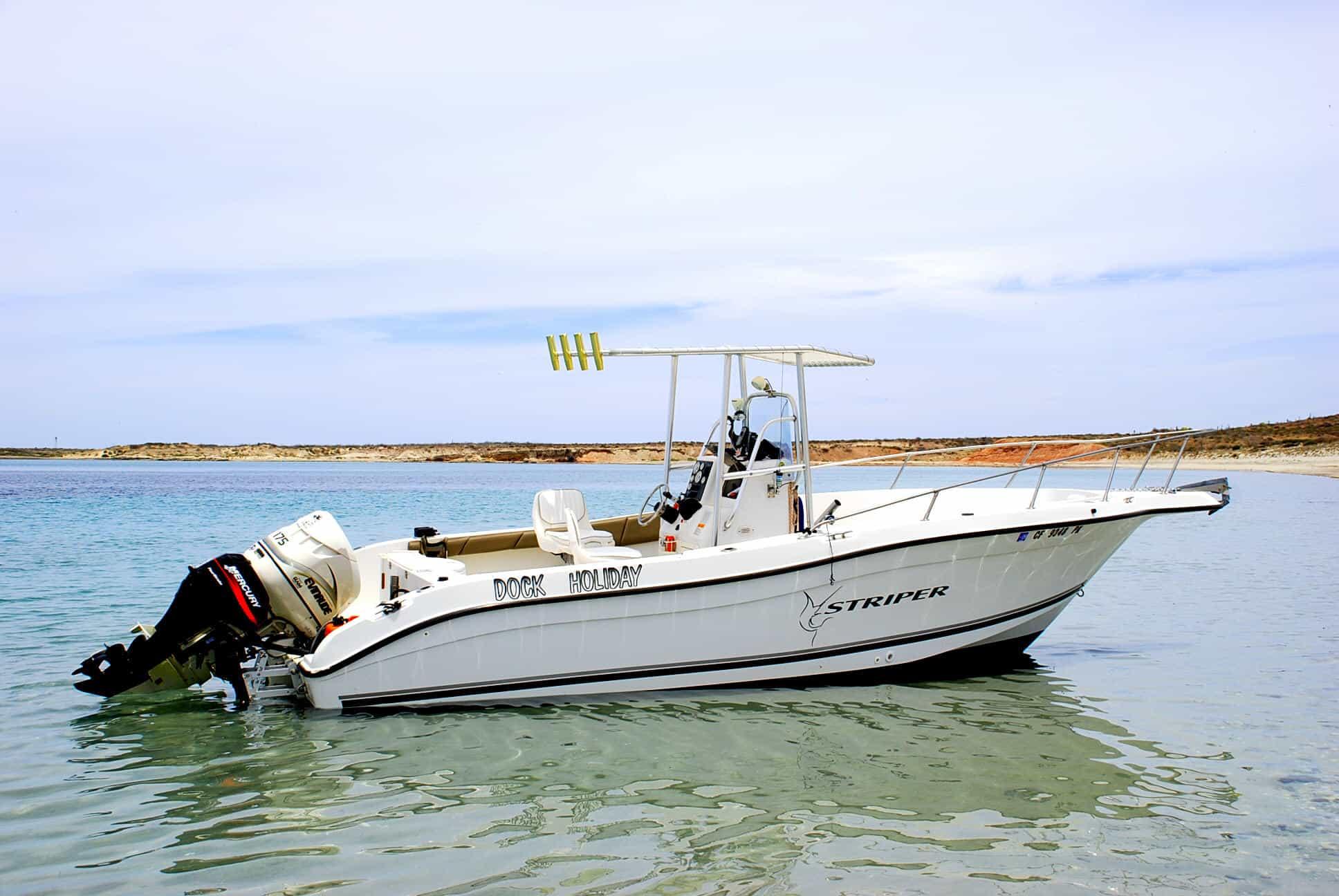 Seaswirl 2301 T-Top 2001 image 1