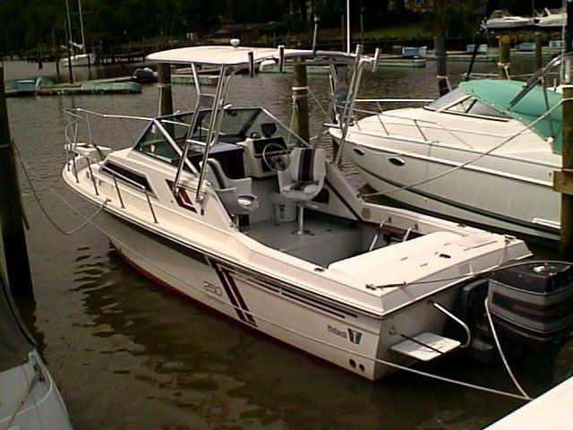 Wellcraft 250 Sportsman Top 1988 image 1