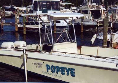 Atlantic Towers T-Top installed on a Chris Craft 31 Scorpion boat, docked among other boats in a marina.