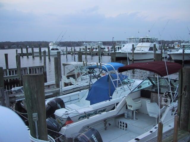Atlantic Towers Arch installed on a Pro Line 22 W/A boat docked in a marina with other vessels in the background.