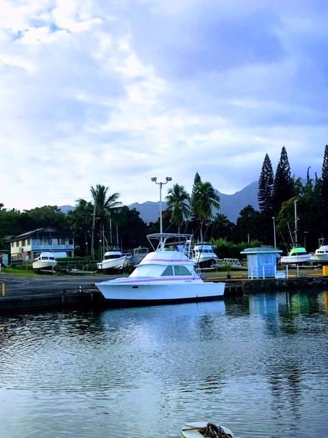 Atlantic Towers Top installed on a Bertram boat docked at a marina with palm trees and mountains in the background.