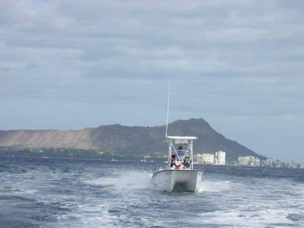 Glass Cat 18 Catamaran T-Top 2013 image 1