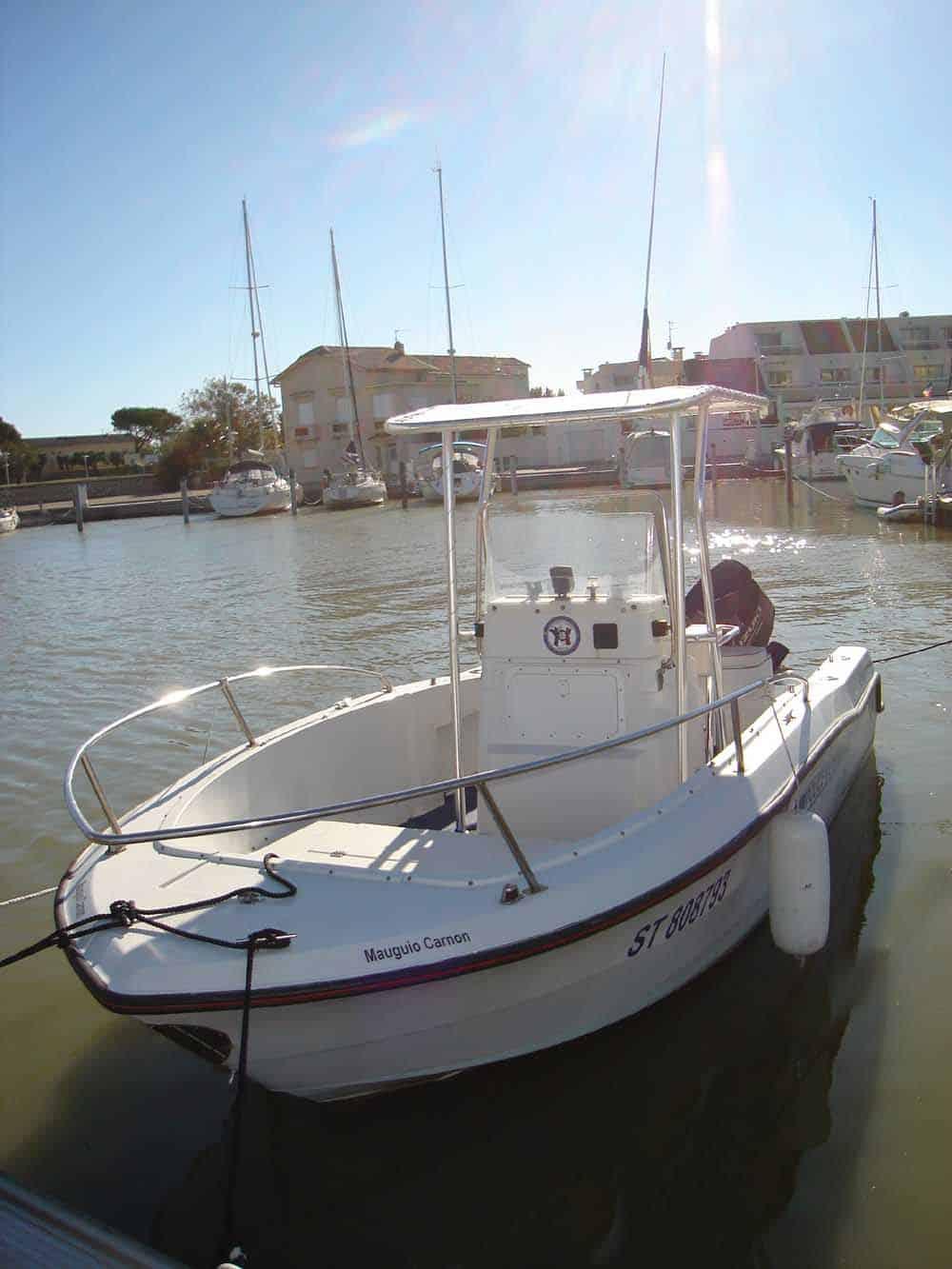 Four Winns 20 Quest T-Top image 1