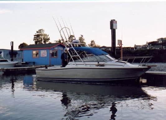 Atlantic Towers Arch installed on a Bayliner 2460 Trophy boat docked near a blue building.