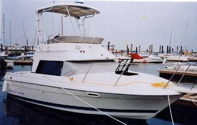 Bayliner 2560 /2556 Cierra Command Bridge Top 1986 image 1
