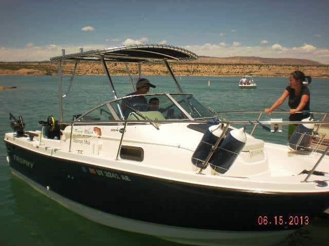 Trophy 2002 Top 1998 image 1