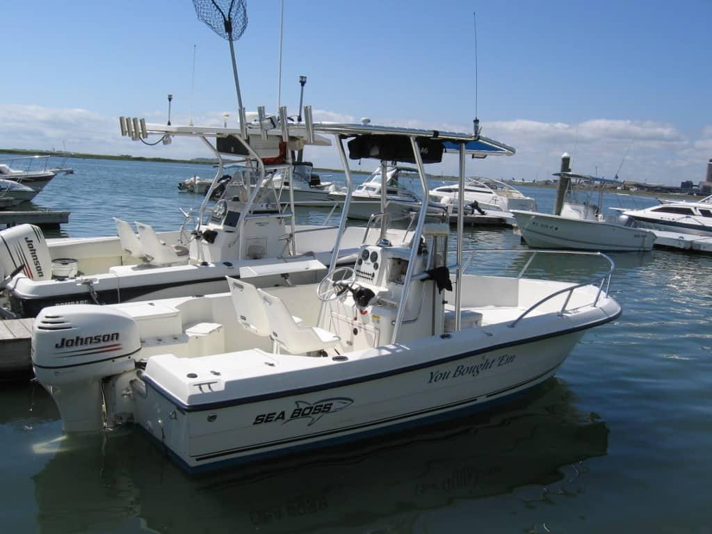 Sea Boss 19 T-Top image 1