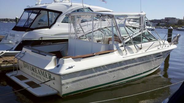 Sea Ray 255 Amberjack Top 1982 image 1