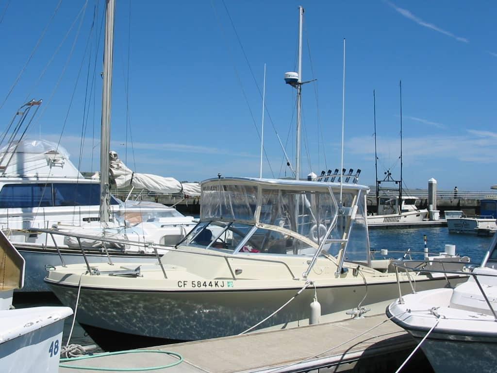 Skipjack Top image 1
