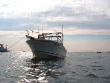 Sportcraft 232 GLS Arch 1999 image 1
