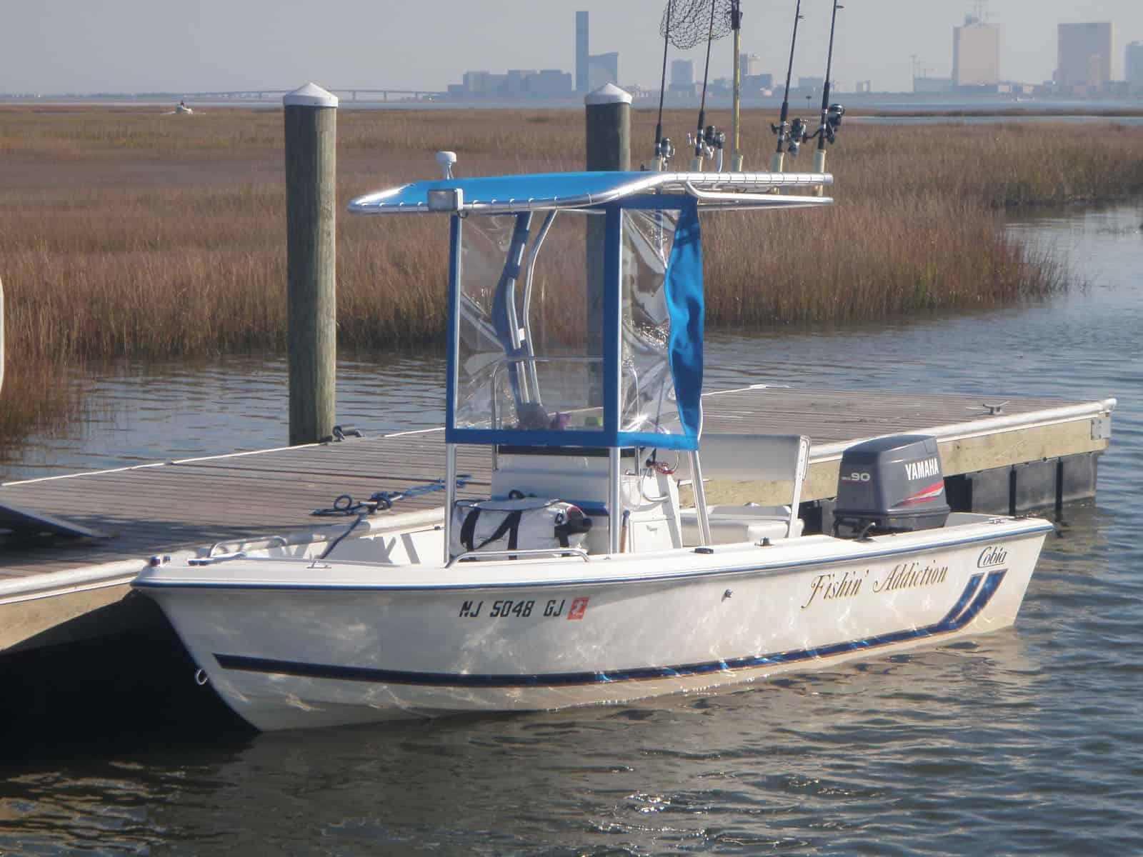 Cobia 174 T-Top 1998 image 1
