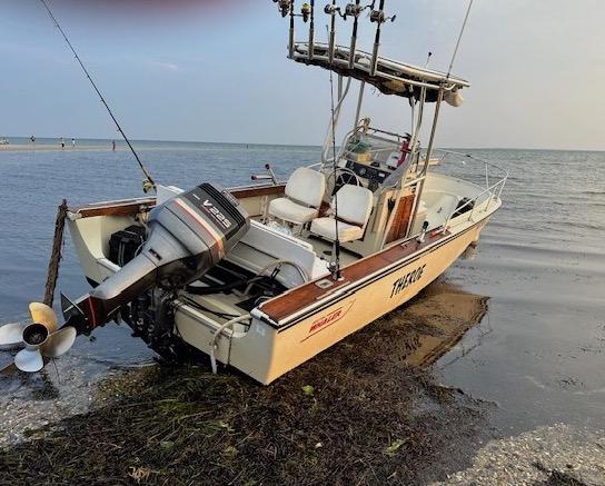 Boston Whaler boat with Atlantic Towers T-Top and outboard motor docked at a shoreline with fishing rods mounted.