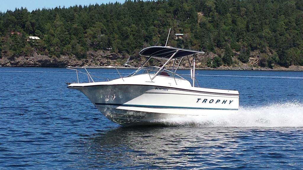 Atlantic Towers top installed on a Trophy 2052 walkaround boat, designed for enhanced functionality and protection.