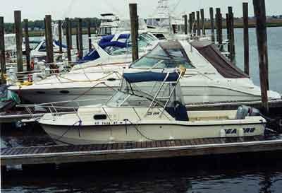 Sea Pro 235 WA Arch 1997 image 1