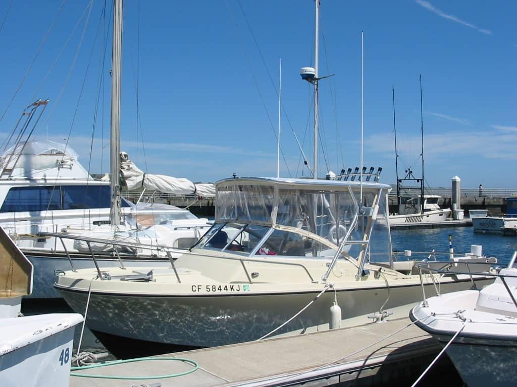 Skipjack Top image 1