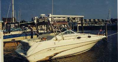 Sea Ray 250 Sundancer Arch 1995 image 1