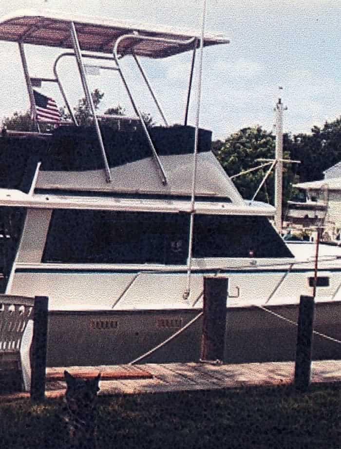 Mainship Top image 1