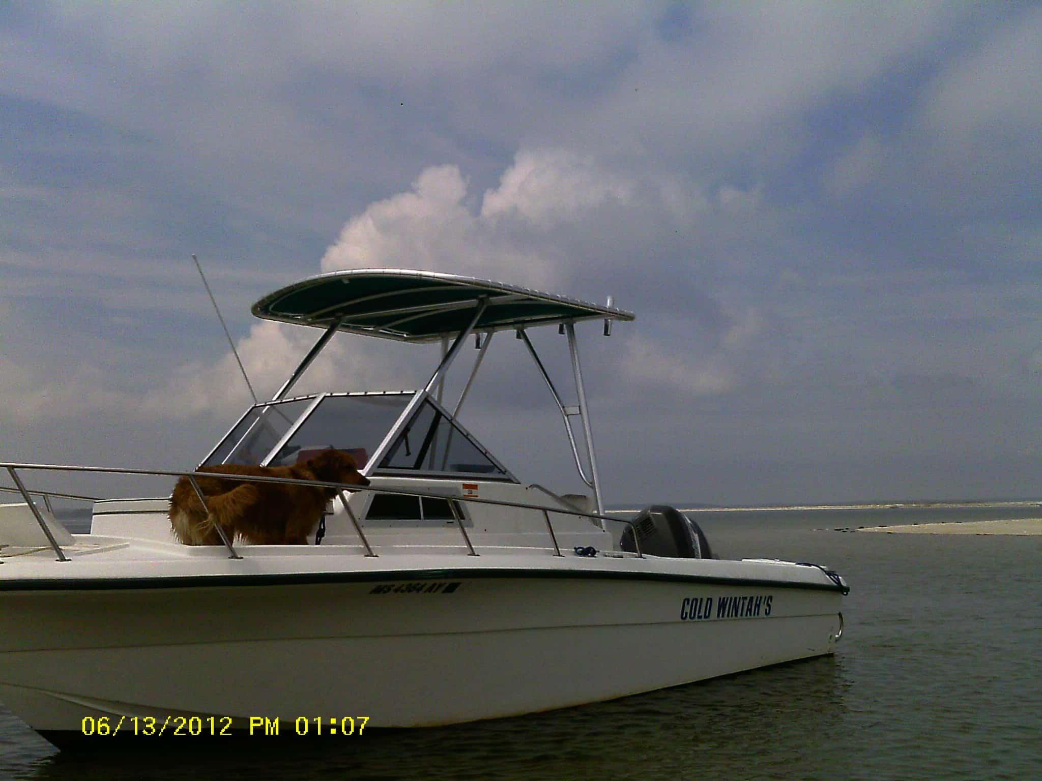 Angler Boats 220 Top 1989 image 1