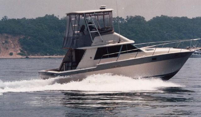 Atlantic Towers Top installed on a Silverton 34 Convertible yacht cruising on water with a scenic background.