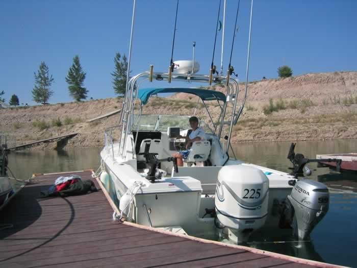 Aquasport 215 Explorer Arch image 1