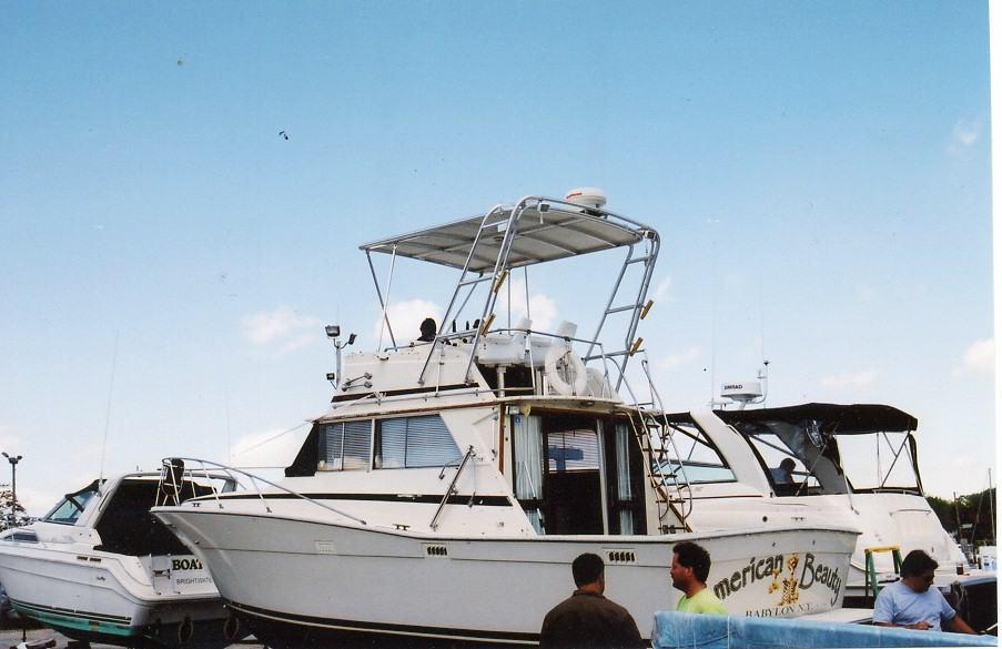 Viking Sportfish Top 1975 image 1