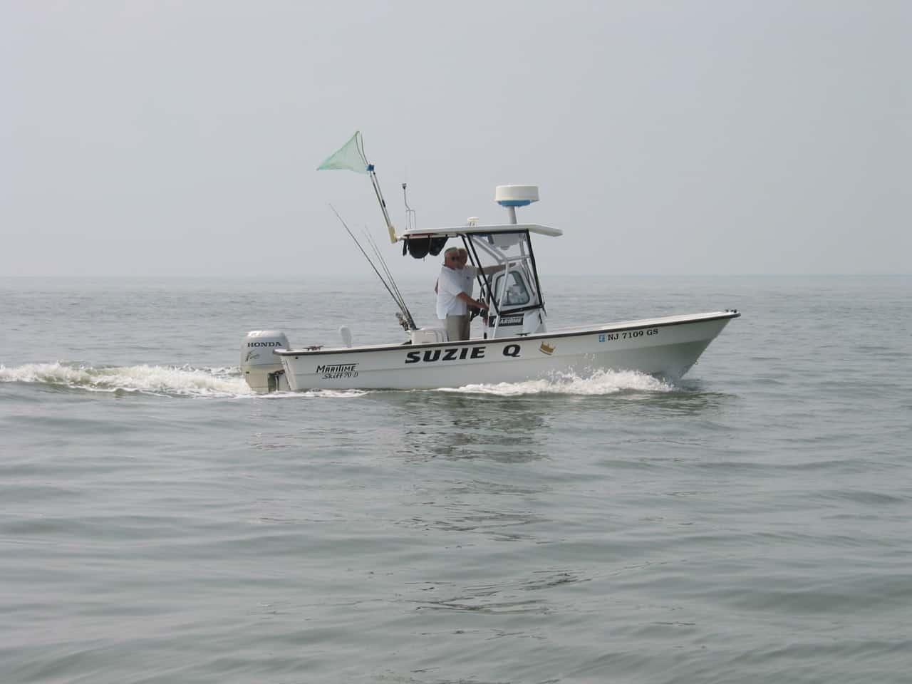 Maritime Skiff Super 50 Inside T-Top 1999 image 1