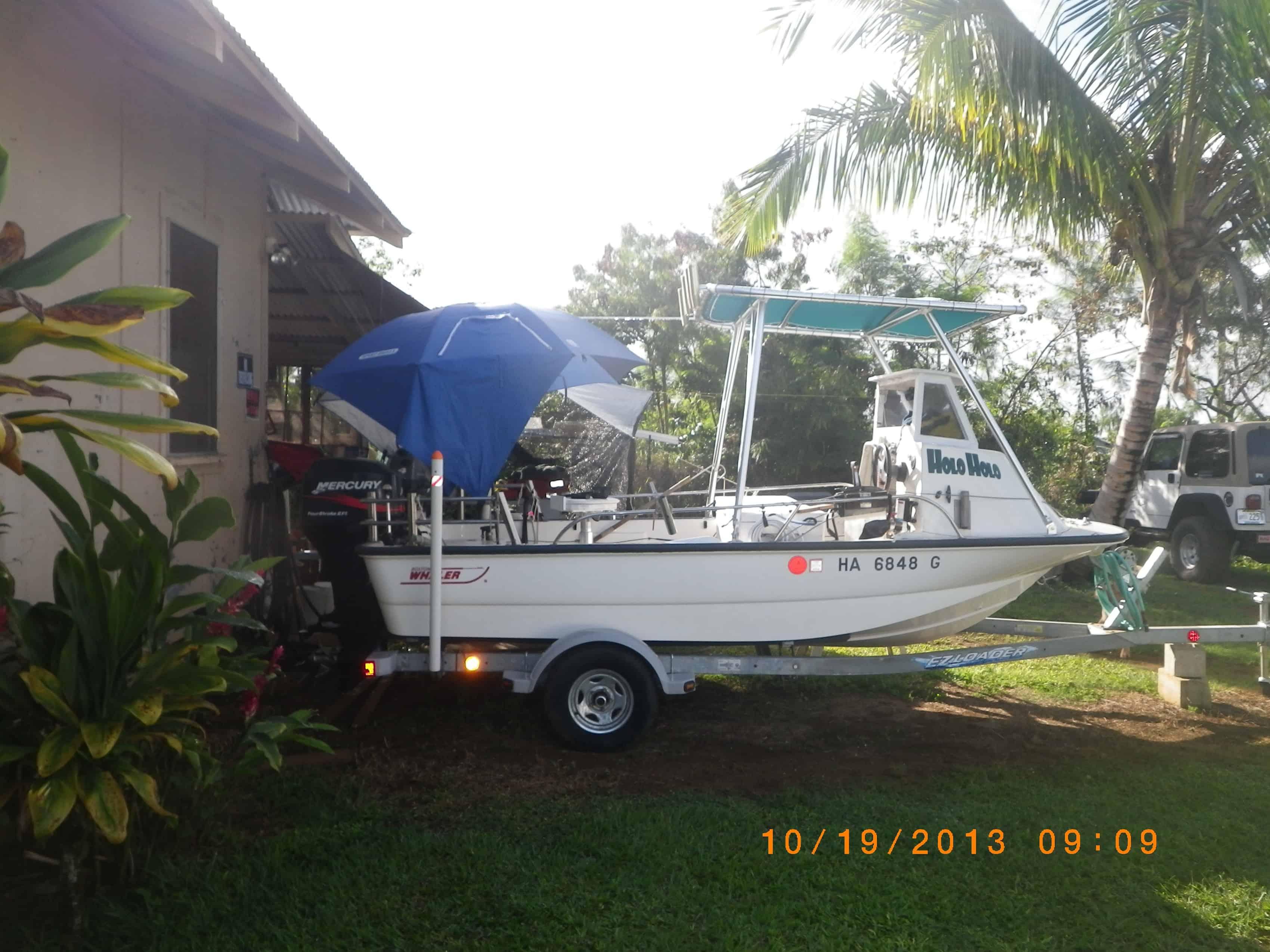 Boston Whaler 15 Sport Top image 1