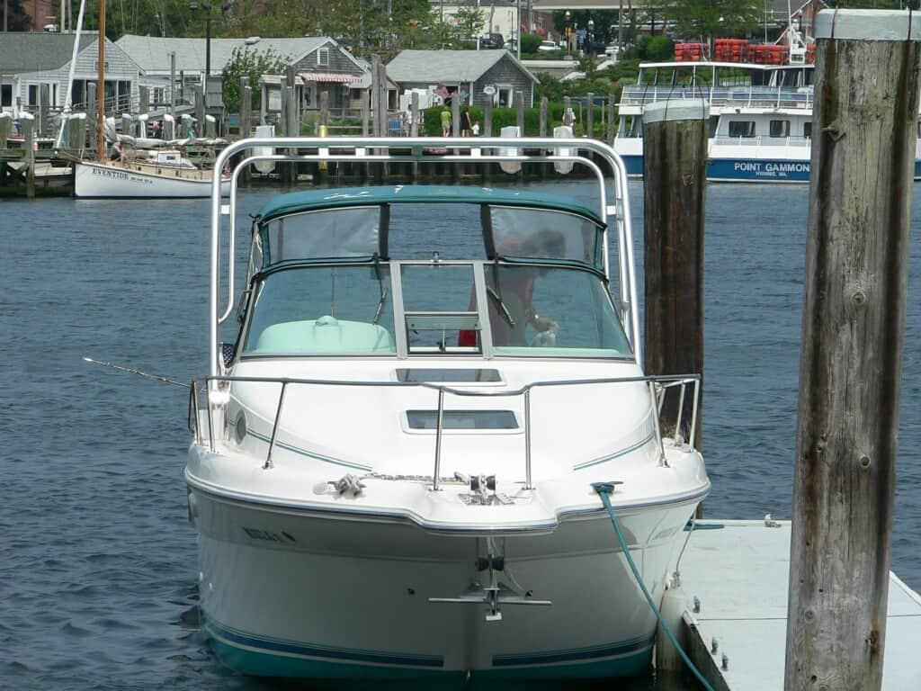 Sea Ray 250 Sundancer Arch 1995 image 1